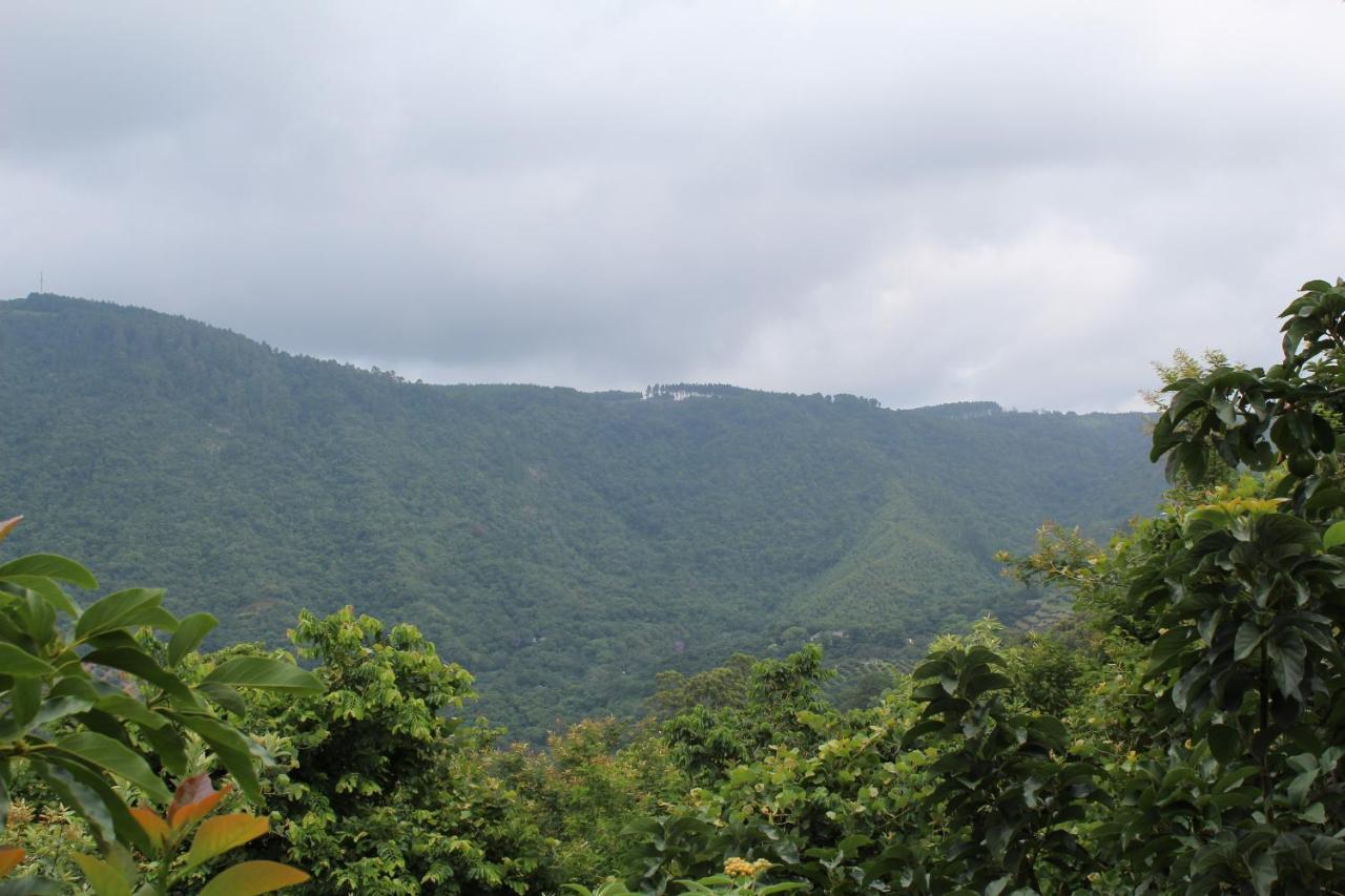 Magoebaskloof Mountain Lodge Цанін Екстер'єр фото